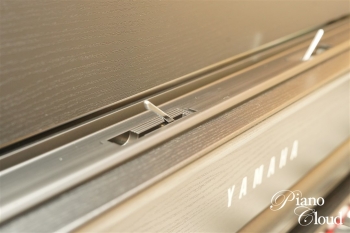 クラビノーバ CLP-845