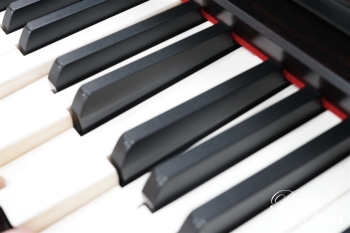 クラビノーバ CLP-845