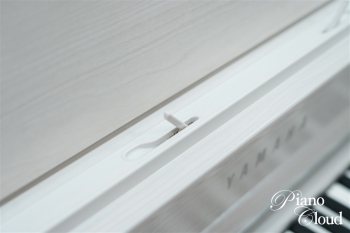 クラビノーバ CLP-835