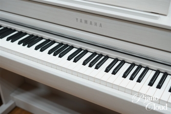 クラビノーバ CLP-835