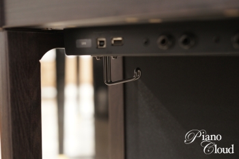 電子ピアノ　LX-6DRS