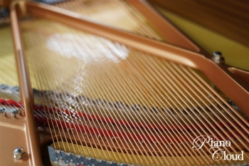 グランドピアノ C1X