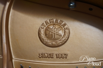 中古グランドピアノ GC1SN