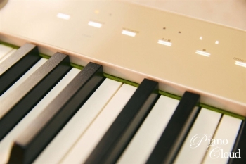 PriviA プリヴィア PX-S1100MB