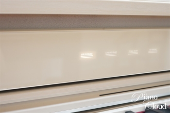 電子ピアノ AP-750