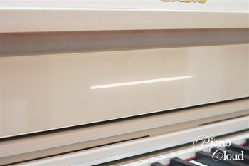 電子ピアノ AP-750