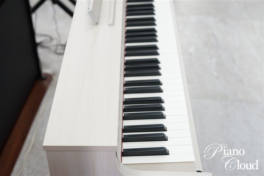 CELVIANO セルビアーノ AP-S450