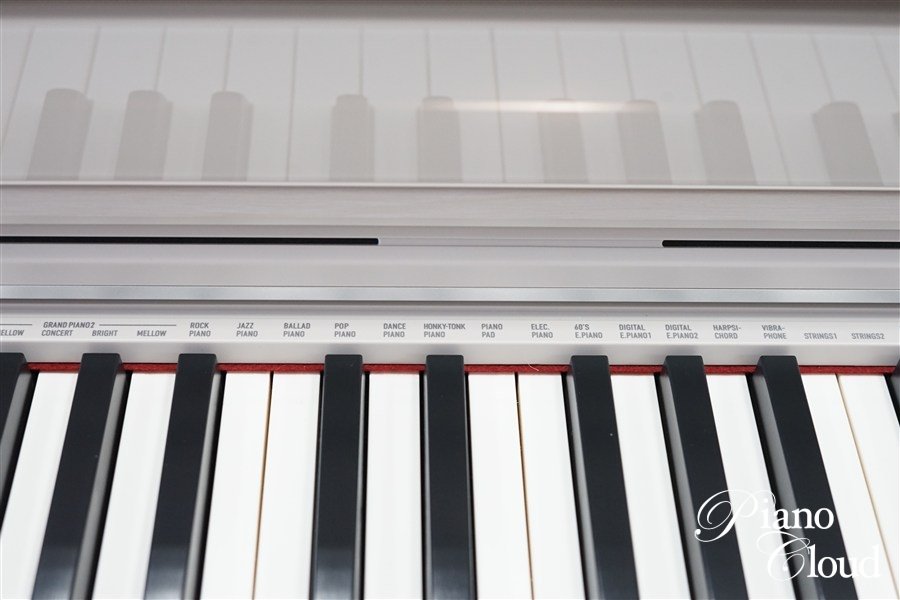 CELVIANO セルビアーノ AP-S450