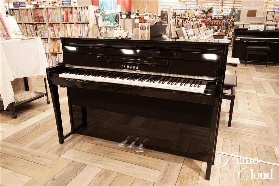 ハイブリッドピアノ　NU1XA