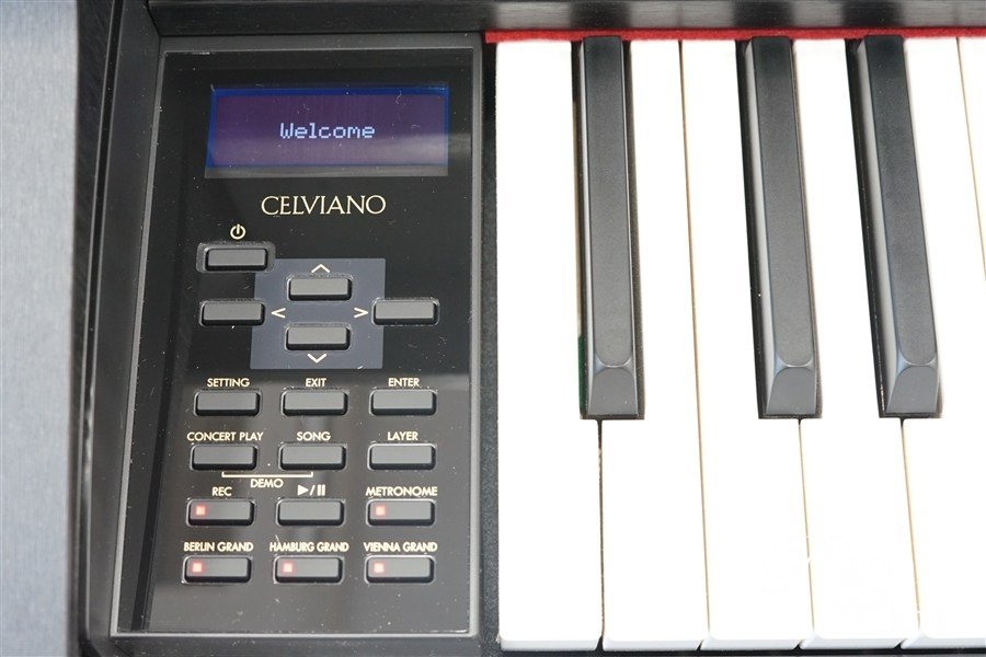 電子ピアノ GP-310BK CELVIANO