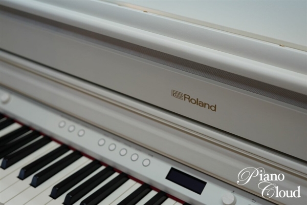 HP704-WHS