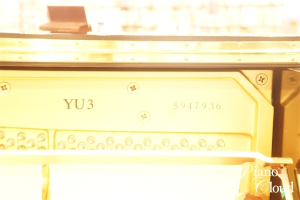 YU3