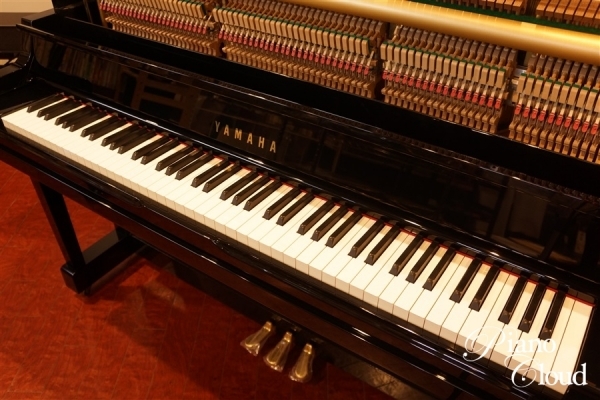 YU50