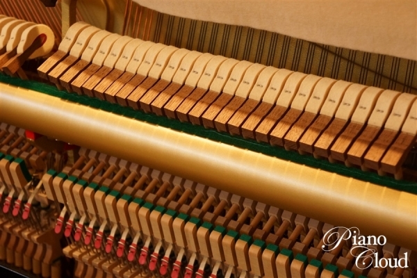 YU50