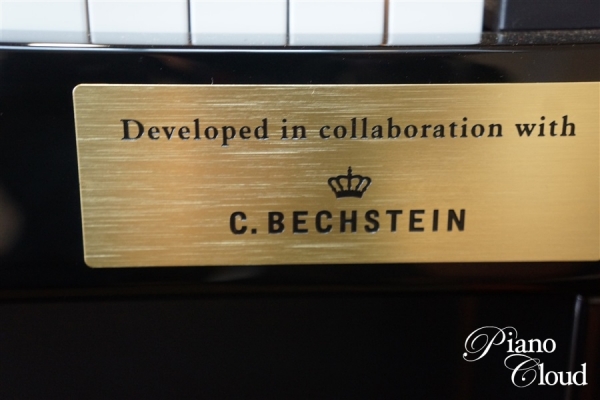 電子ピアノ セルビアーノ GP-510BP