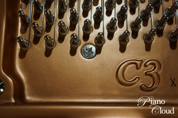 C3X