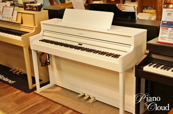 HP704-WHS