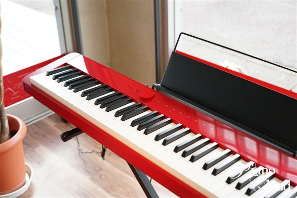 Privia PX-S1000RD