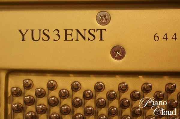 YUS3-ENST