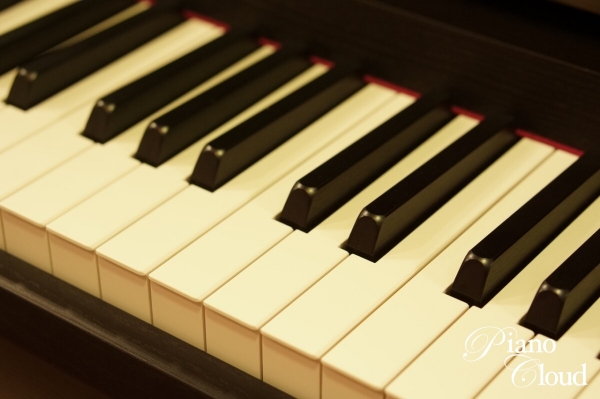 Clavinova CLP-685B