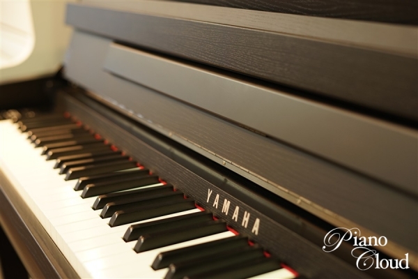 Clavinova CLP-685B