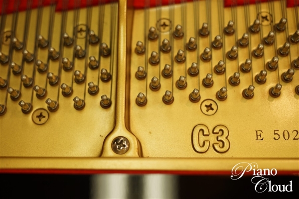 C3E