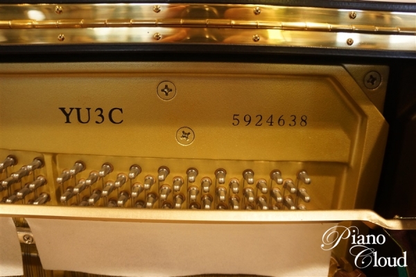 YU3CE