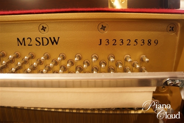 M2SDW