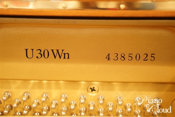 U30Wn