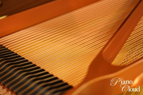 グランドピアノ C3X espressivo