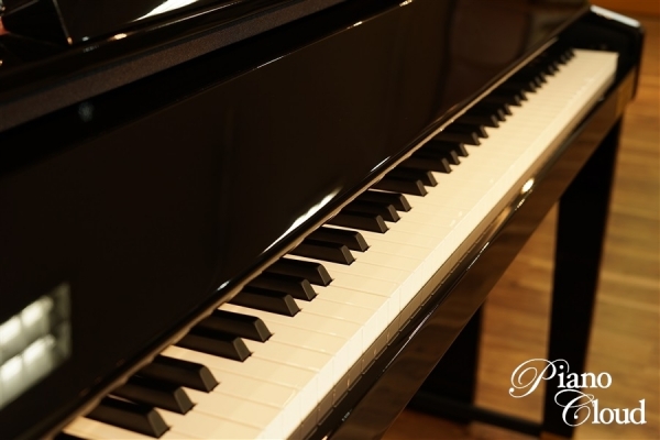 電子ピアノ GP-510BP