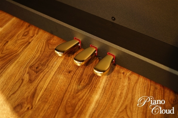 電子ピアノ GP-510BP