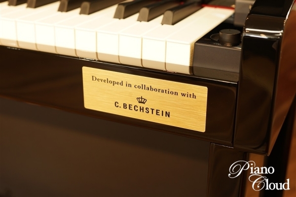 電子ピアノ GP-510BP