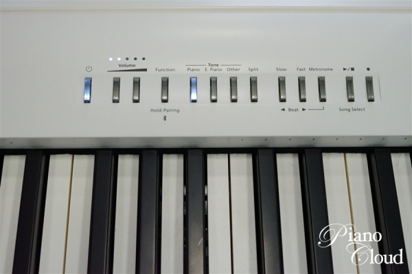 Portable Piano FP-30X-WH