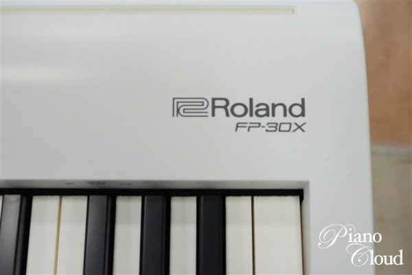 Portable Piano FP-30X-WH