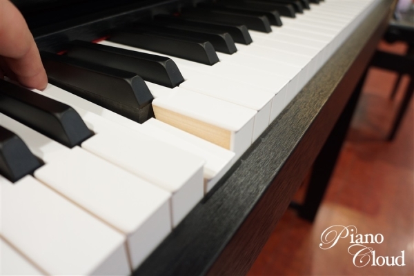 電子ピアノ セルビアーノ GP-310BK