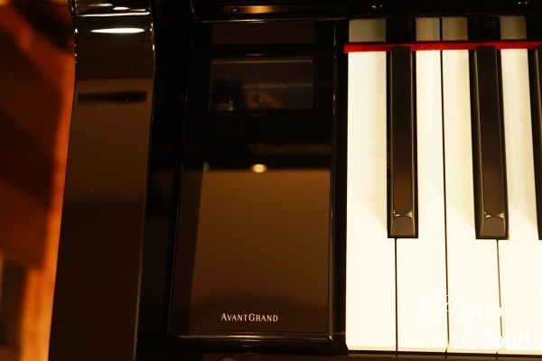 ハイブリッドピアノ NU1XA