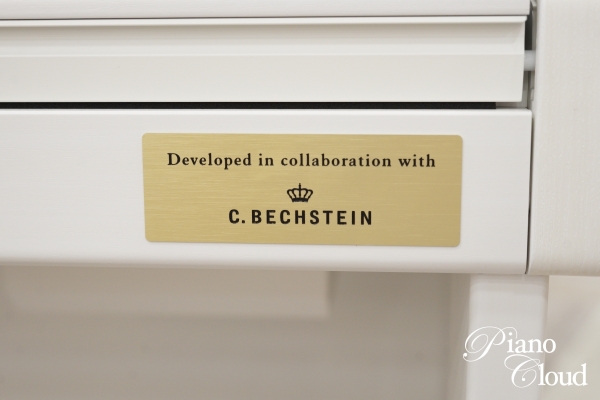 電子ピアノ　GP310WE