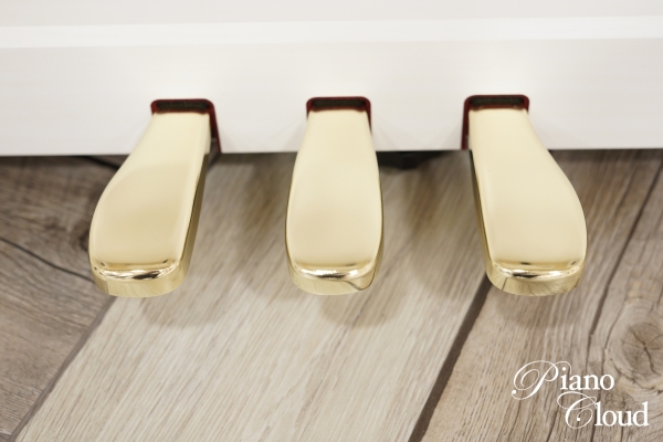 電子ピアノ　GP310WE