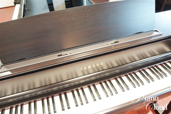 電子ピアノ Clavinova CLP-875