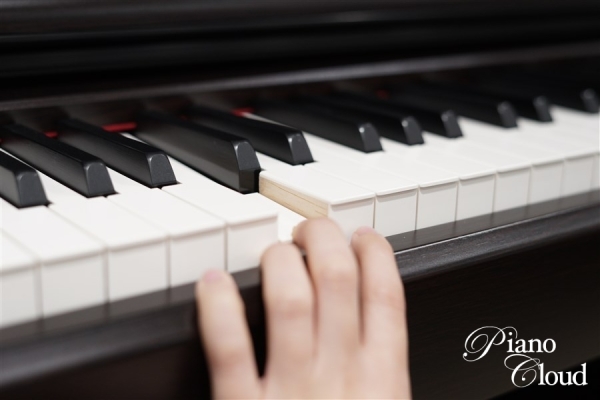 電子ピアノ　CLP-845R