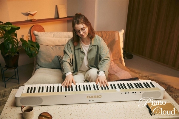 PriviA プリヴィア PX-S1100MB