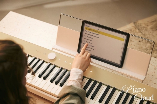 PriviA プリヴィア PX-S1100MB