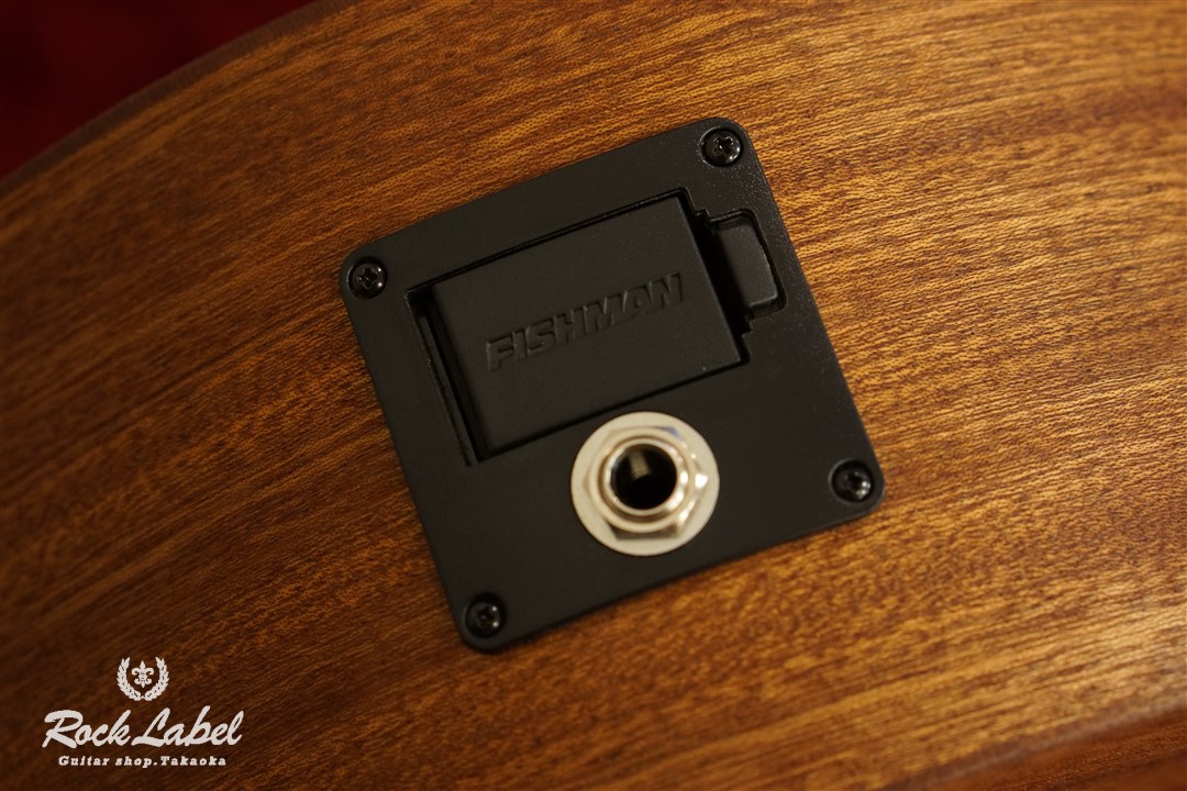 Martin D Jr. 2E Sapele | Red Guitars Online Store