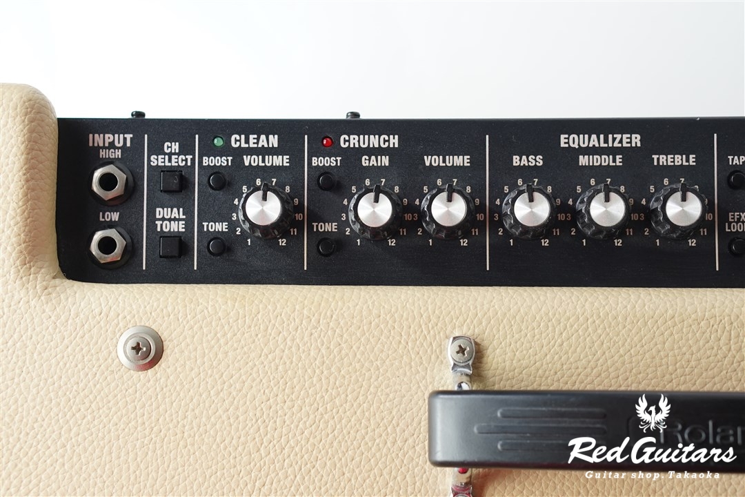 Roland Blues Cube Artist(w/Footswitch・Tone Capsule×2個セット 