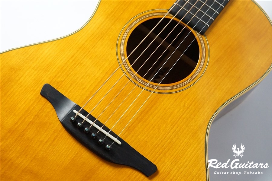 VG-00 Mahogany - Vintage Natural