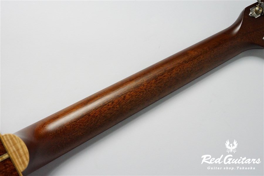 VG-00 Mahogany - Vintage Natural