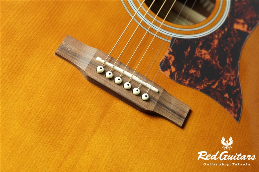 Epiphone DR-500MCE - NA | Red Guitars Online Store