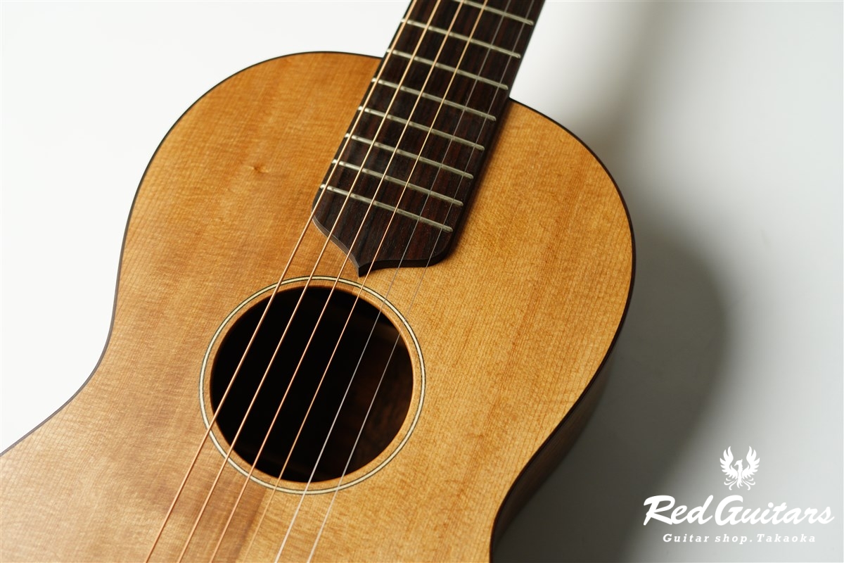 guitar 14f std. s - Red Cedar / Ovangkol