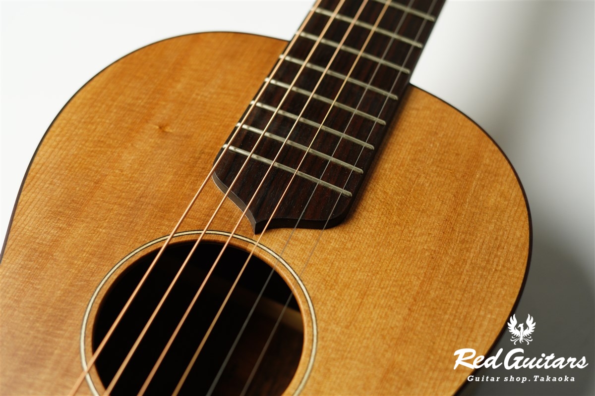 guitar 14f std. s - Red Cedar / Ovangkol